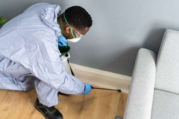 Best Bed Bug Extermination  in Shiner, TX